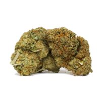 bay11-cannabis.jpg