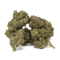 el-jefe-2-canada-online-dispensary-buy-weed1.jpg